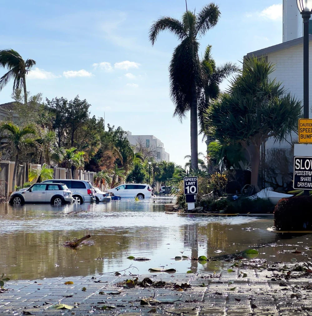 Florida Public Adjusters Working to Secure the Settlement You Deserve, tampa, Fl