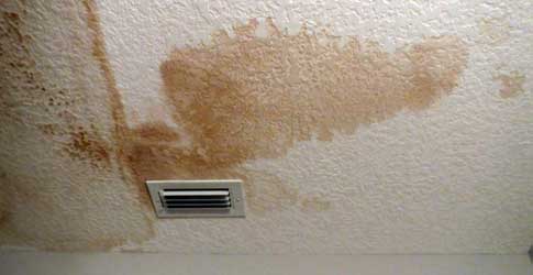 Roof Leaks & Water Stains