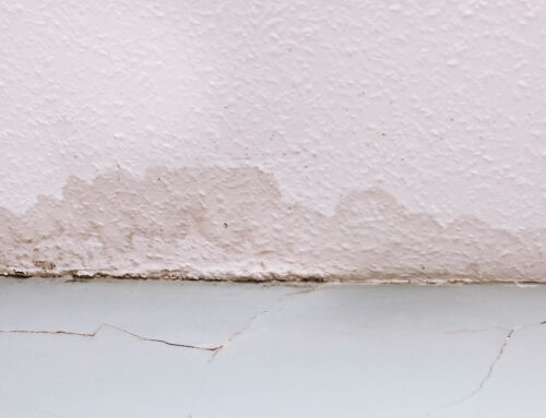 Water Damage Claim in Tampa
